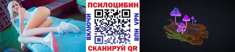 Купить закладки Пионерский Псилоцибиновые грибы MAGIC MUSHROOMS